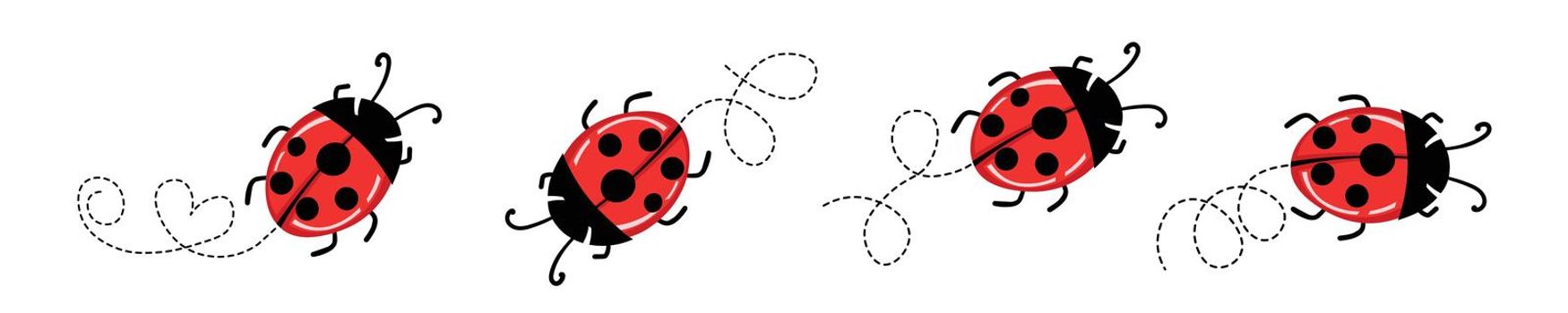 Set of cartoon ladybird mascot. A small ladybugs flying on a dotted route. Vector characters. Incest icon. Template design for invitation, cards. Doodle style