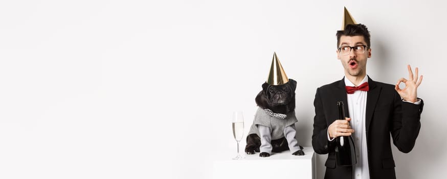Small black dog wearing party hat and standing near happy man celebrating holiday, owner showing okay sign and holding champagne bottle, white background