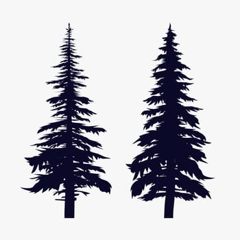 black pine trees silhouettes isolated on white