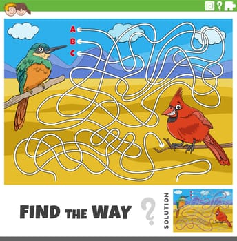 find the way maze game with cartoon birds characters