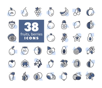 Set of Fruits and Berries vector icons
