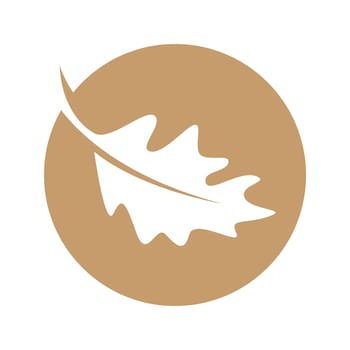 Oak logo icon design