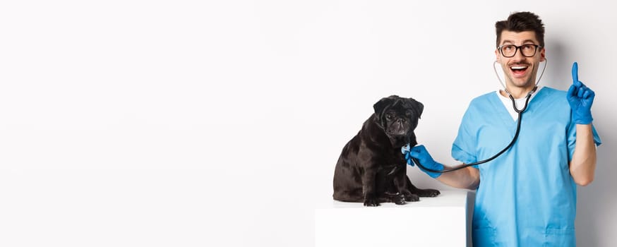 Handsome doctor veterinarian smiling, examining pet in vet clinic, checking pug dog with stethoscope, pointing finger up at promo banner, white background