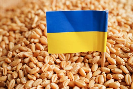 Ukraine on grain wheat, trade export and economy concept.