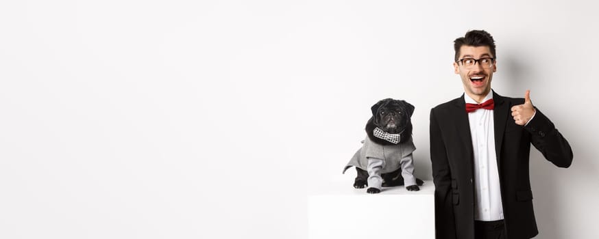Animals, party and celebration concept. Handsome young man in suit and cute black pug in costume staring at camera, owner showing thumb up in approval and praise, white background