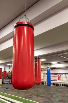 punching bag, boxing indoors, for power sport for punch and lifestyle strength, knockout club