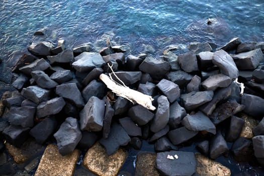 white broken branch over the black sea stones