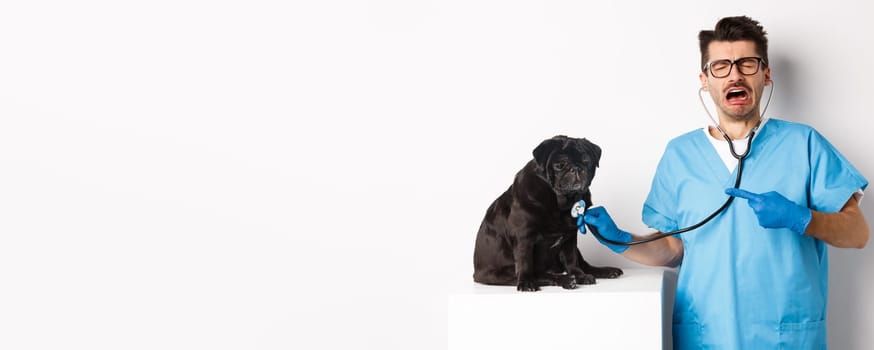 Sad male vet doctor examining cute little dog pug with stethoscope, pointing at pet and crying, standing over white background