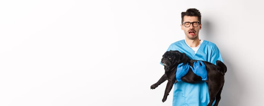 Vet clinic concept. Sad veterinarian holding black pug dog and crying, sobbing with miserable face, standing over white background