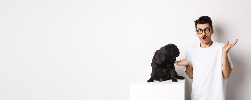 Image of funny black pug looking at his confused owner, man shrugging puzzled, standing over white background