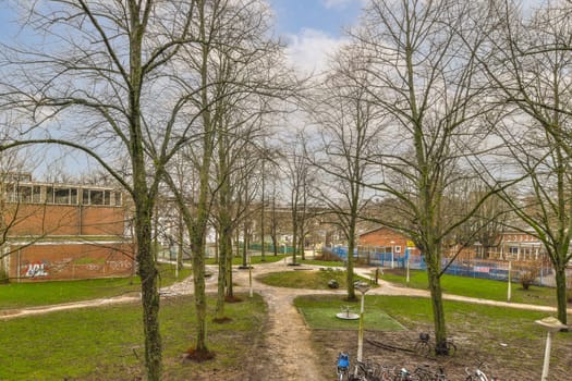 a path through a park with trees