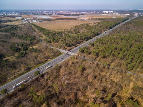 Aerial view of highway through diseased forest