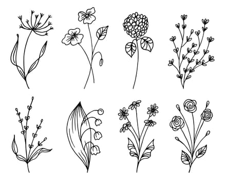 Hand drawn outline flowers, set. Sketch, botanical icons