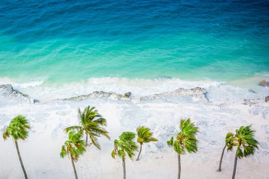 Cancun beach with palm trees from above at sunset, Riviera Maya, Mexico