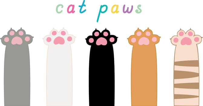 Cute set of various cat paws with hand drawn text. Funny hand drawn cat paws. Vector illustration