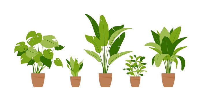 Collection home plants. Potted plants isolated on white. Vector set green tropical plants. Trendy home decor with indoor plants.