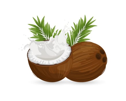 Coconut and sliced coconut with a splash of milk on a white background with palm leaves.