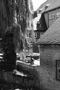 Trees and view of the old mill with the pewter figurine museum in Goslar, Germany