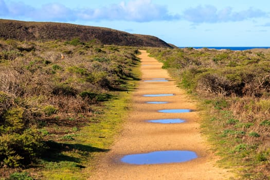 Puddles on flat trail through coastal park in Northern California
