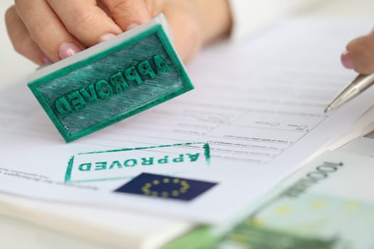 EU Schengen visa application and stamp approved document