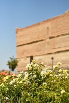 Vertical shot of blooming flowers in front of a historical building