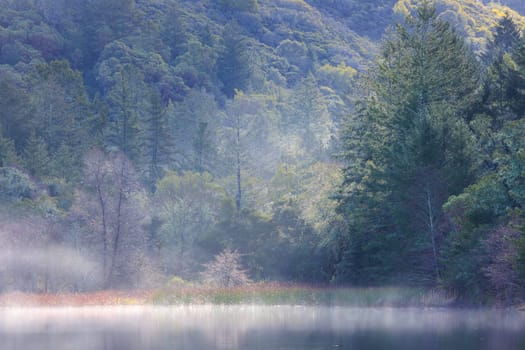 Early morning mist rises from lake by green forested hillside