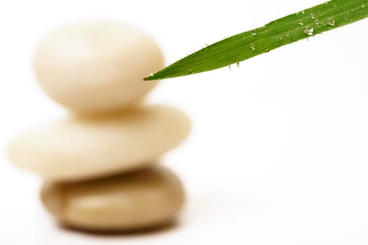 green leaf with dewdrops and stacked stones, zen picture