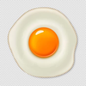 Realistic vector fried egg icon isolated on transparent background. Design template.