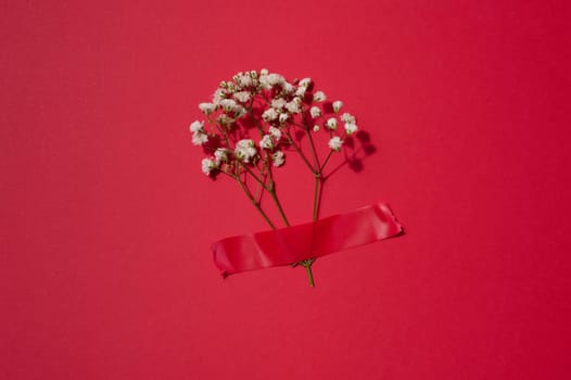 A bouquet of white gypsophila is glued with red electrical tape on a red background