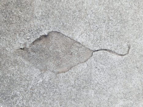 The imprint of a fallen autumn leaf on concrete