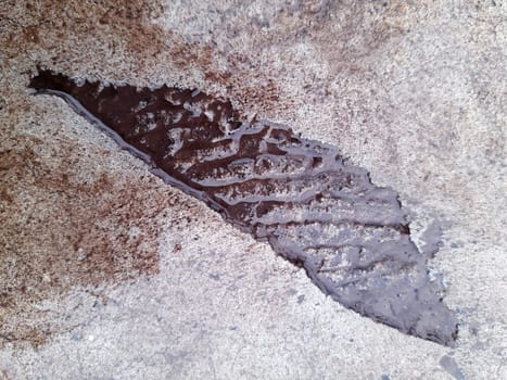 The imprint of a fallen leaf on wet concrete