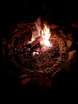 Night bonfire in nature