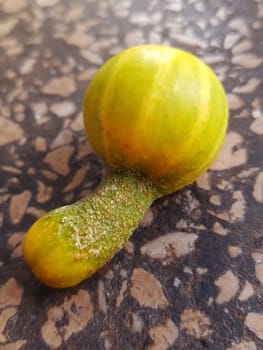 Cucumber of an unusual shape on the windowsill close-up