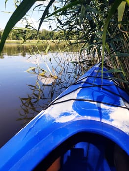 Kayak in the reed beds on the surface of the water