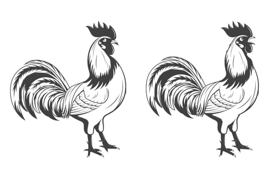 Vector roosters set, symbol of 2017.