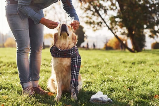 Wearing glasses. Young woman have a walk with Golden Retriever in the park