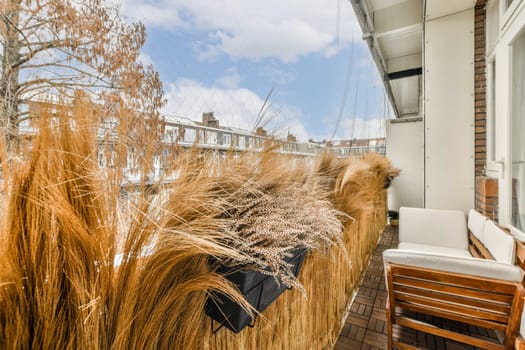 a balcony with a wall of dry grass and chairs