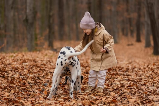 girl with a Dalmatian dog in the forest