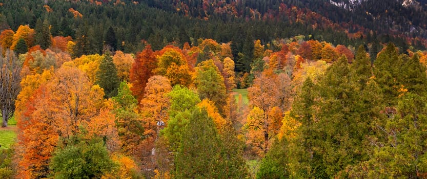 Autumn Mixed Forest View from Park of Linderhof Palace