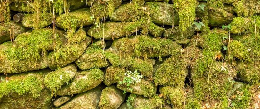 Natural Stone Wall