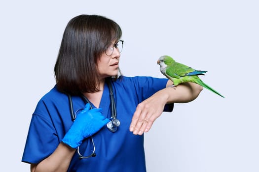 Doctor veterinarian examining green Quaker parrot, on white background