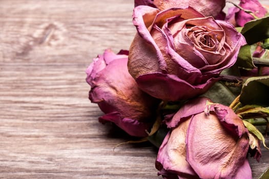 Dead roses on vintage wooden background