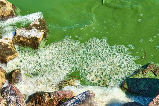 Ecology, environmental pollution. Dirty green water with foam near the stones