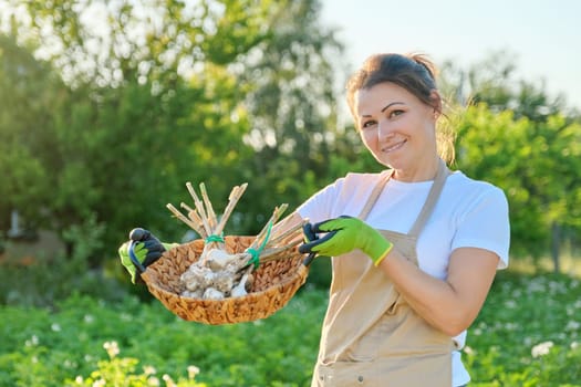 Woman farmer with basket with fresh garlic harvest