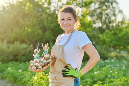 Woman farmer with basket with fresh garlic harvest