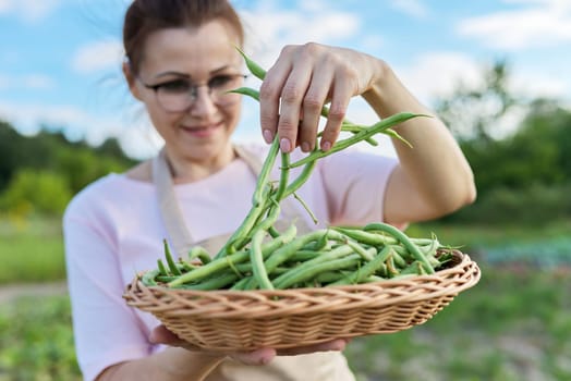 Close up of fresh plucked green string beans in basket in woman hands