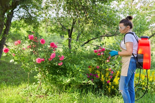 Woman in backyard garden with pressure sprayer backpack protecting plant rose