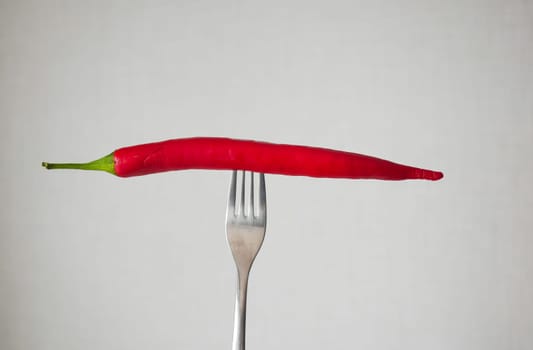 red chili pepper on the fork on white background .