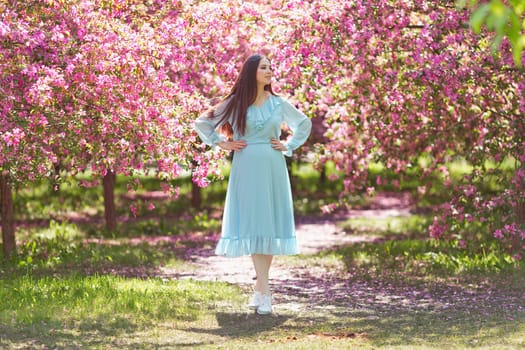brunette girl in light blue dress, with long hair is standing near a pink blooming apple trees, in the spring in the garden, in sunny day, looking away. Copy space