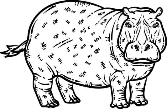 Hippo Animal Coloring Page for Adult